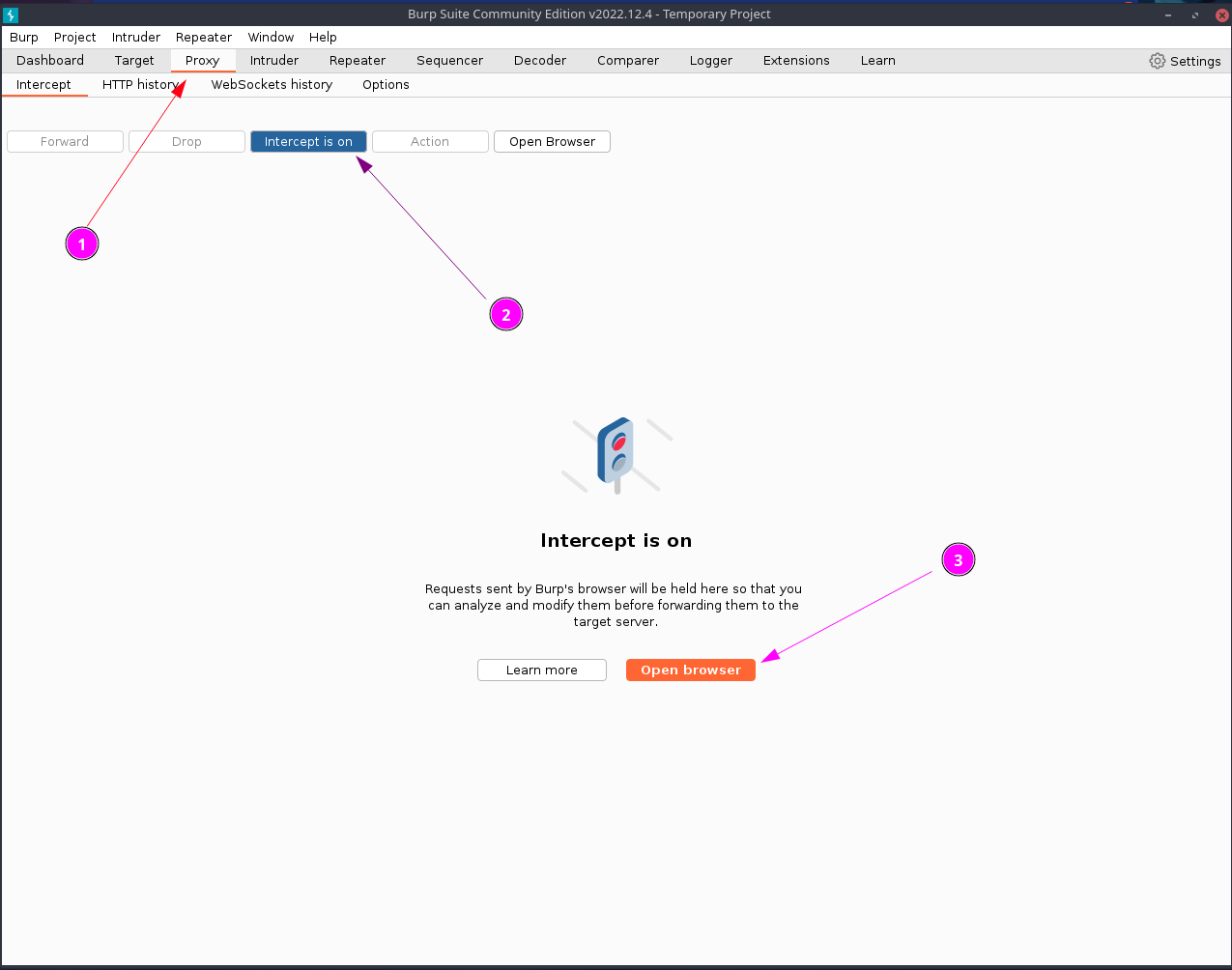 Burpsuite Config